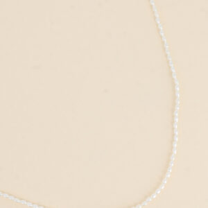 2 in 1 armband